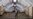 16x9 Image