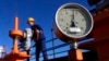 Семь стран ЕС увеличили закупки энергоносителей из России