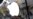 Apple зарегистрировала личный кабинет на сайте Роскомнадзора в рамках закона об иностранных IT-компаниях