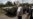 ОБСЕ: Вооружение "ДНР" охраняют российские военнослужащие