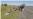 В Оренбургской области на границе снова скопилось более тысячи мигрантов из Кыргызстана, Узбекистана и Таджикистана